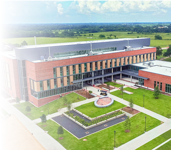 symbiosis case studies