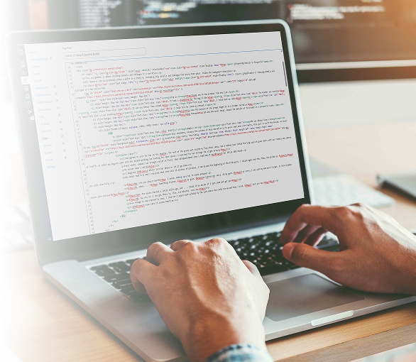 A person editing the HTML code on a canvas LMS.